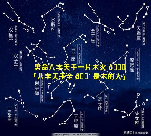 男命八字天干一片木火 🐝 「八字天干全 🐴 是木的人」